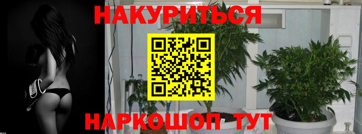 Шишки марихуана THC 21%  МАРИХУАНА планчик  Вход с VPN  МАРИХУАНА тримм  Конопля тримм  Осинники 